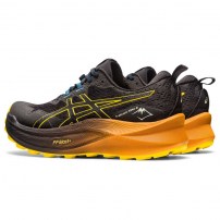 Кросівки для бігу чоловічі Asics TRABUCO MAX 2 Black/Golden yellow